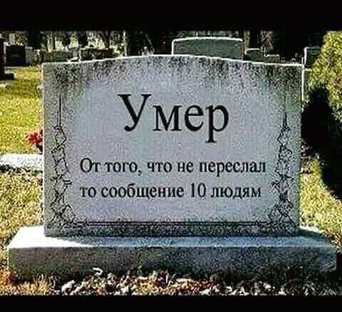 Немного о высшем