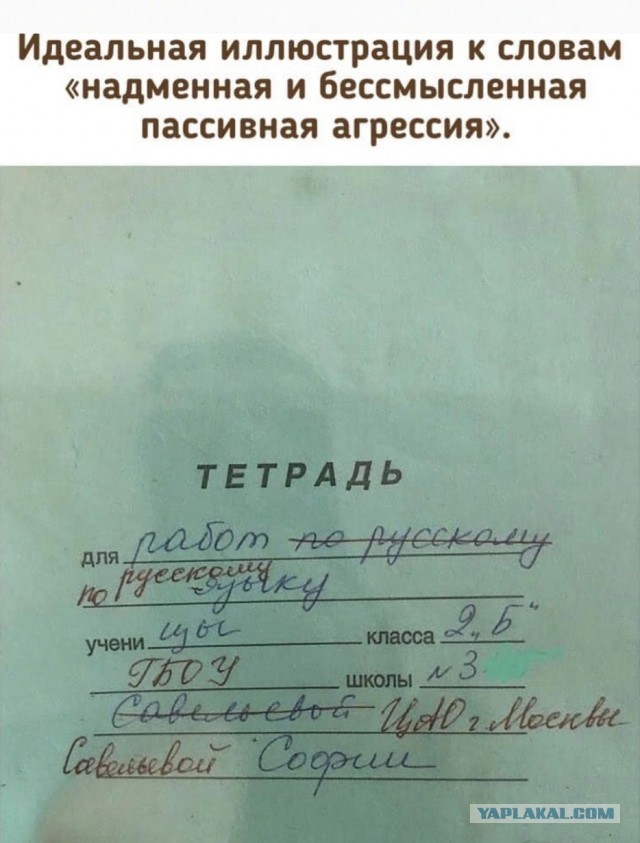 Кретинизмы из сети 29.08.2021