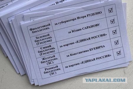 Единая Россия выпустила памятку как голосовать в Калининском районе (Тверской области)