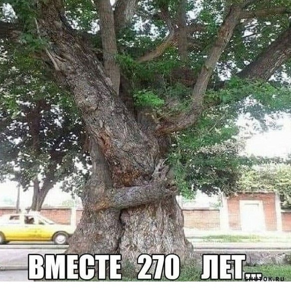 Всяческие картинки 08.11.2021