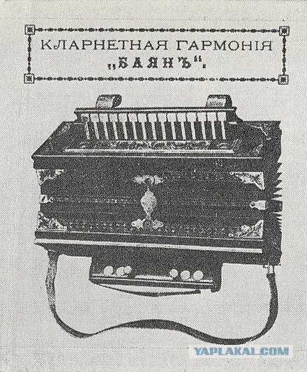 В Орле задержан чеченец Ислам Аслаханов за изнасилование школьницы, ранее сбивший на авто бойца Росгвардии
