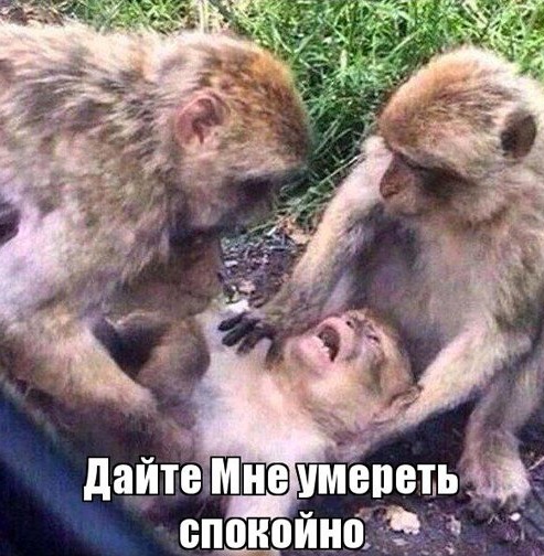 Нищебродам на заметку. Подготовка к праздничным дням.