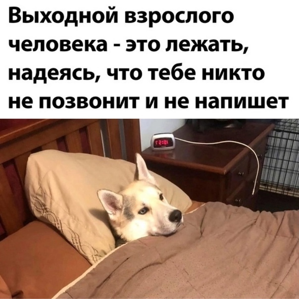 Всяческие картинки 17.01.2022