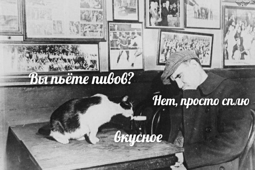 Картинки и мемы для настроения - 15