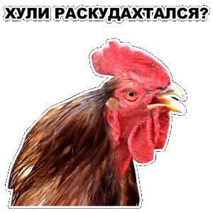 "Алло, полиция! Меня фура убила!"