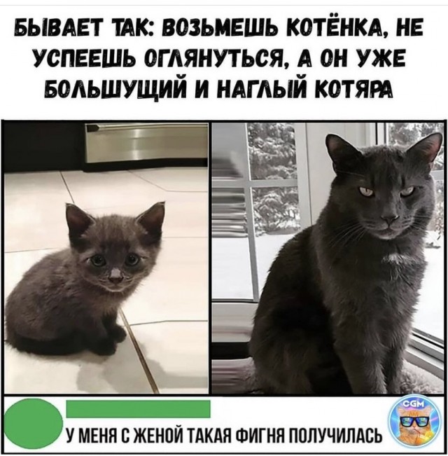 Картинки и мемы для настроения. Выходные близко...