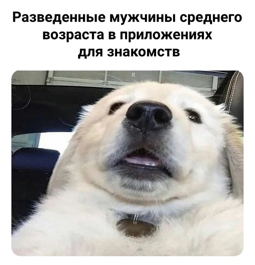 Картинки и мемы для настроения - 23