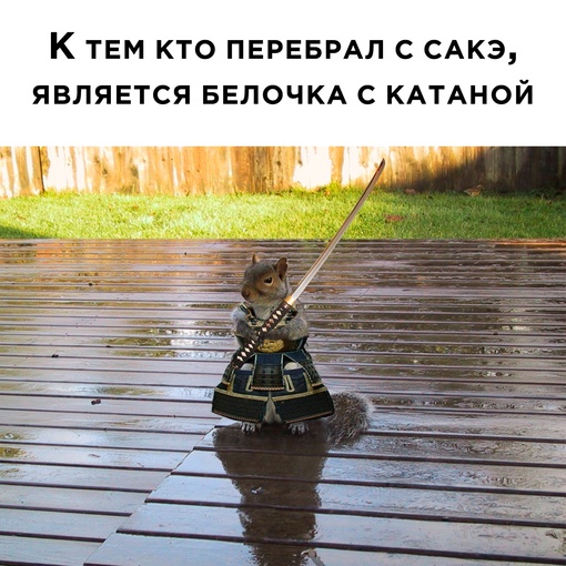 Картинки и мемы для настроения - 23
