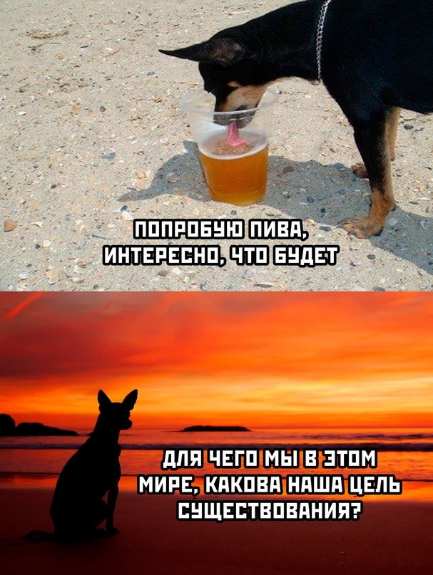 Немного картинок для настроения - 127
