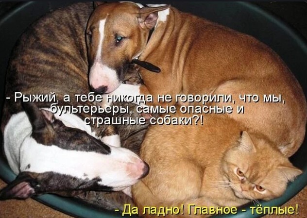 Картинки и мемы, всем хороших выходных
