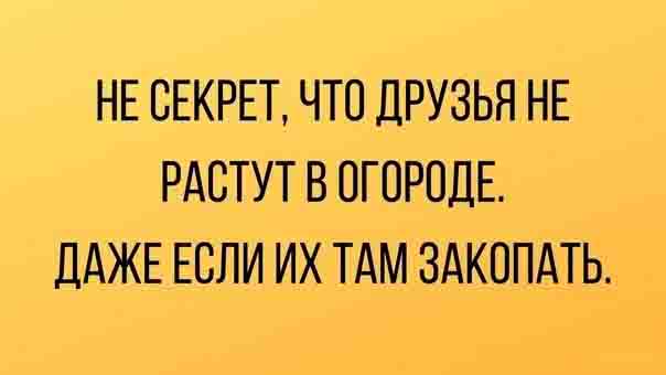 Чёрно-пошлый вторник