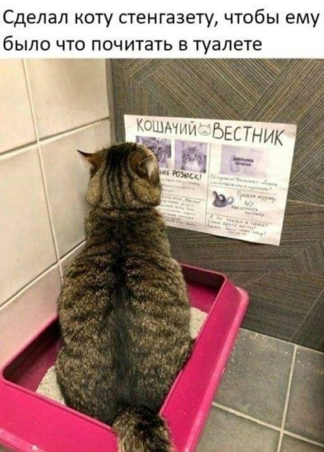 Так себе картинки 25.12.22