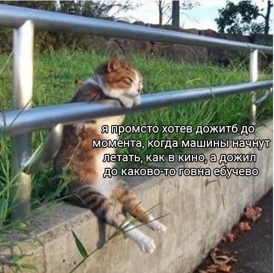 Скотт Риттер комментирует высказывание Линдси Грэма