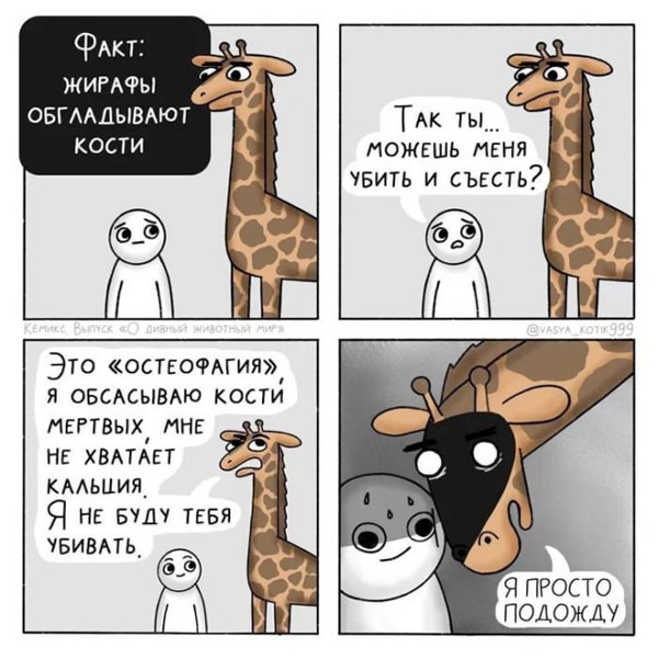 Лето. Пятница. Картинко