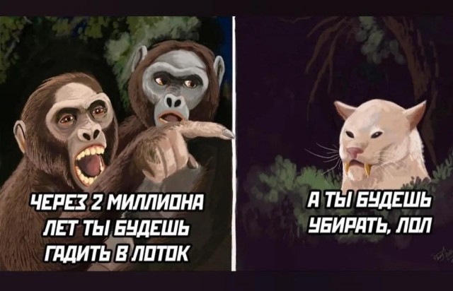 Так себе картинки 12.08.23