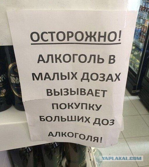 8 картинок с подписями, коллеги!