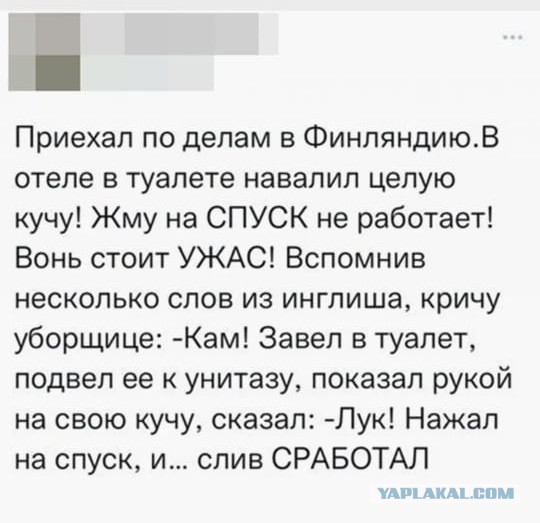 Весёлый полтишок 26.10.23