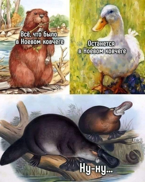 Маленькая пятница.