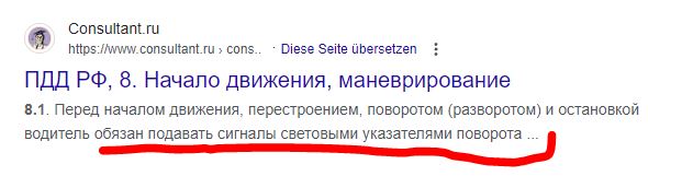 В Москве роллер зацепился за поводок и отправил в кому 88-летнюю женщину