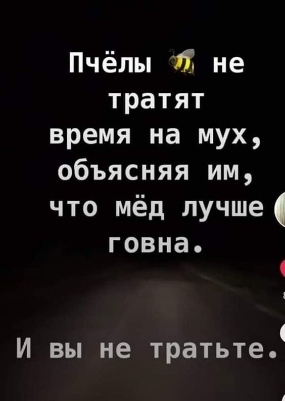 Прикольные и просто красивые картинки 29.10.2024