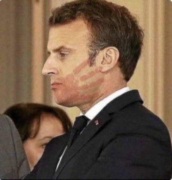 Президент Франции Макрон получил пощёчину от жены во время визита во Вьетнам