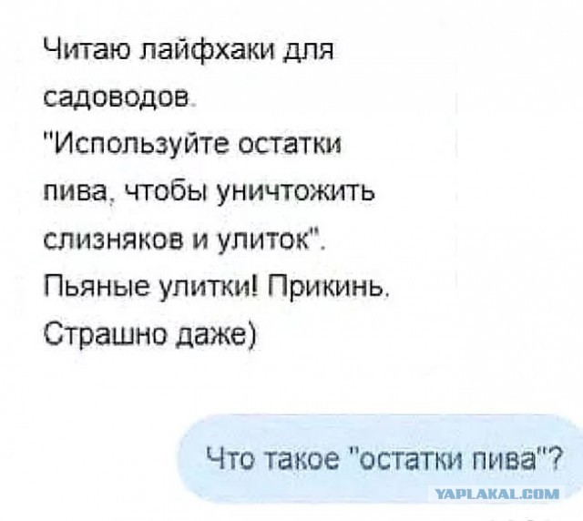 "Мои ручки не предназначены чтобы мыть полы"