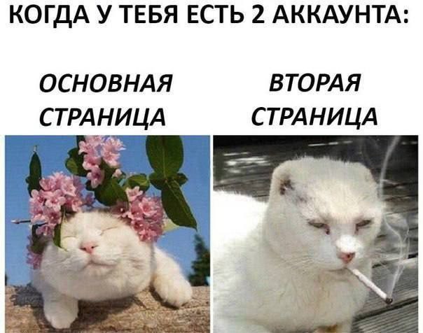 Картинки для деградации 18 (разной степени свежести)