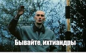 Бронедом для птиц, или почему я теперь не люблю дятлов