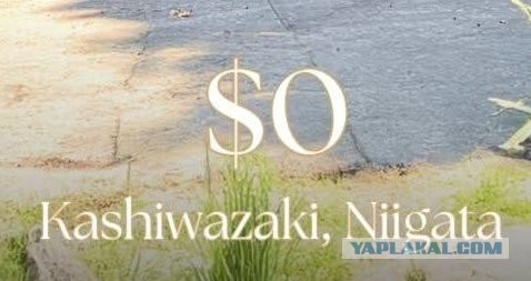 Дом $0 отдают в Японии — будущему владельцу достанется аж 112 квадратов неподалеку от гор и полная тишина вокруг