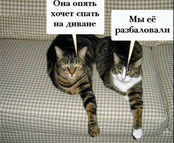 Картиночки, баянчики 29 декабря