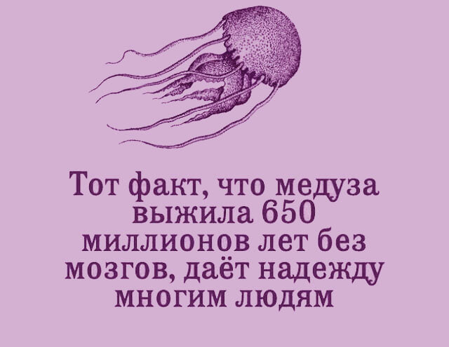 Бывает, есть подруга. Не шучу.