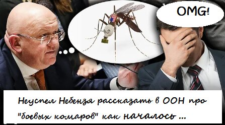 В Совбезе ООН разгорелся спор о национальности постпреда РФ Небензи