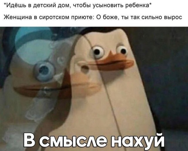 Прикольные комментарии для поднятия настроения: «Это был мой пик»