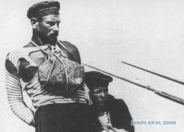 Спрут