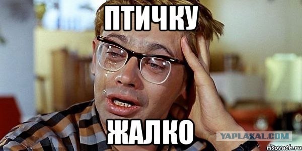 Бракованная логика. Современная действительность.