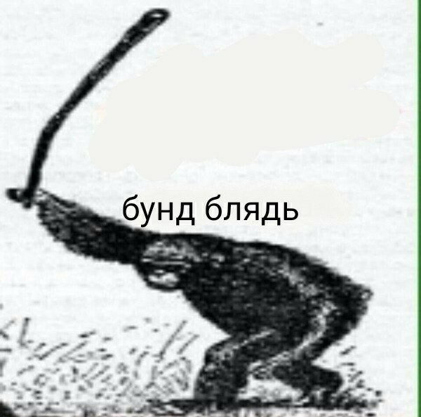 А остались ли мужики на России-матушке?