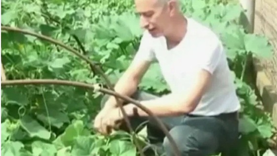 Нас лечил страх, что нас снова будет лечить бабушка