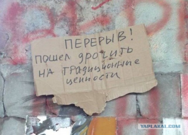 Мольба премьер-министр Туска
