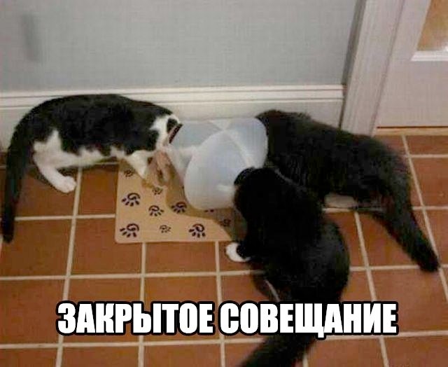 Картинки на среду