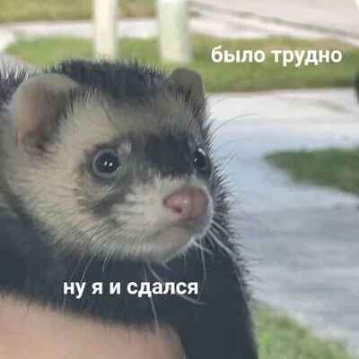 Зато честно