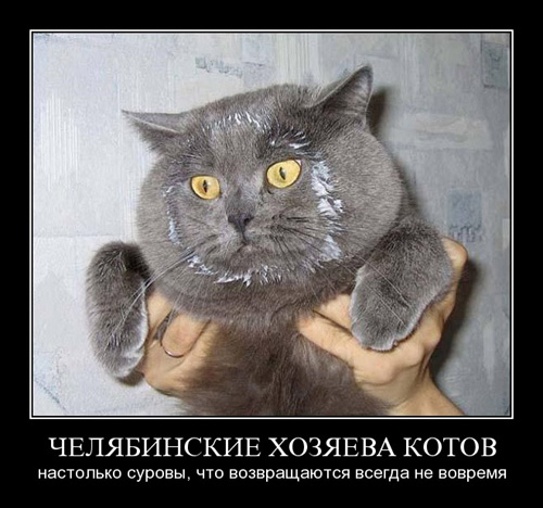 Унываторы (19 фото)