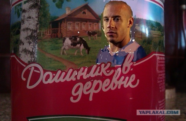Приколы и маразмы 2