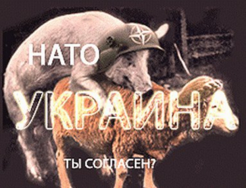 Белый дом потребовал от Януковича вывести войска