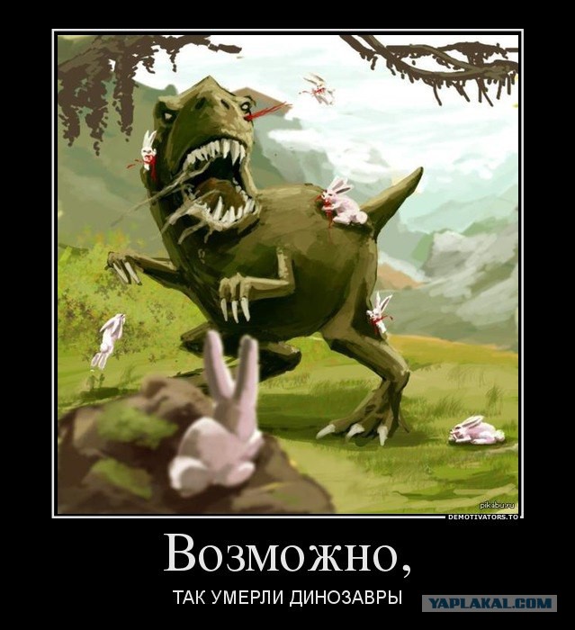 Смешное из соц сетей