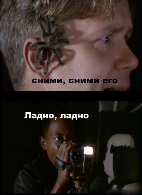 Поднимаем настроение