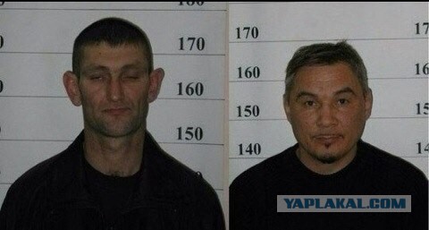 Количество убийств в подмосковье перевалило за 20