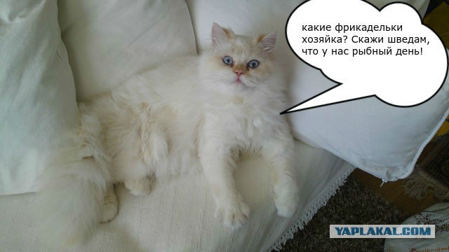 Фаст-Фуд United., Национальные способы быстро перекусить.