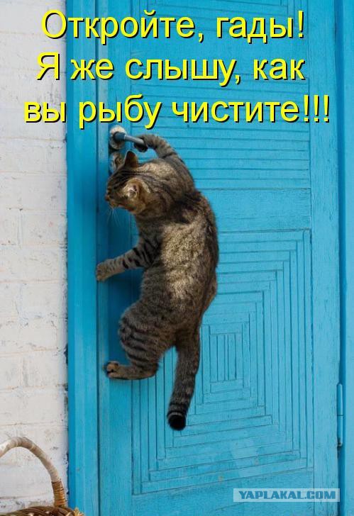 Саня, пусти!