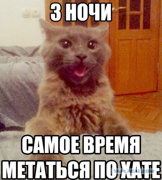 Веселые картинки