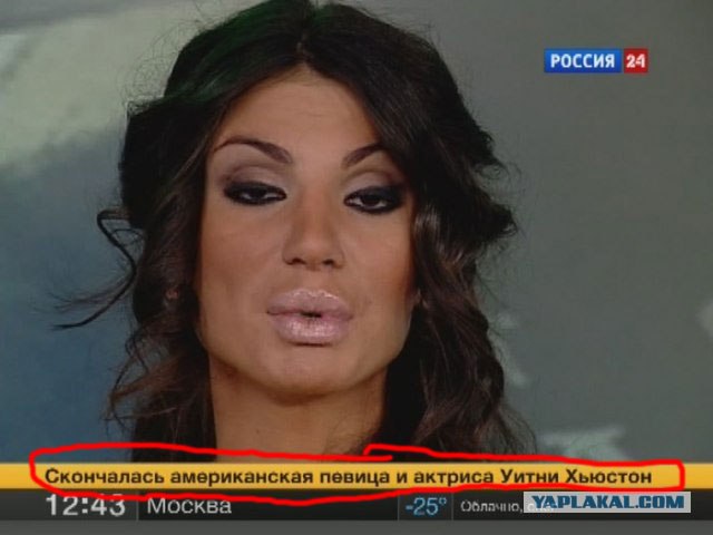 Мукла на канале Россия 24